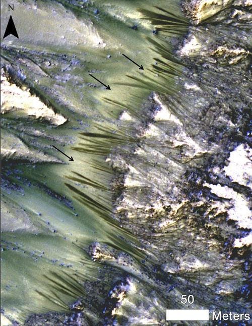 Dark, seasonal flows emanate from bedrock exposures at Palikir Crater on Mars in this image from the High Resolution Imaging Science Experiment (HiRISE) camera on NASA's Mars Reconnaissance Orbiter. Image Credit: NASA/JPL-Caltech/Univ. of Arizona