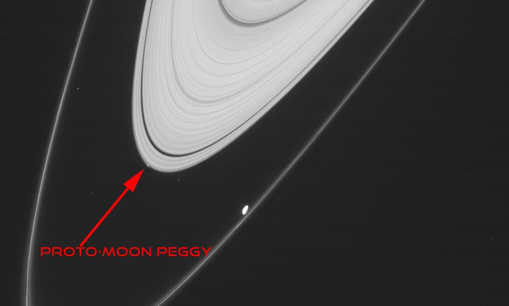 The thin, outermost ring shown in this picture from the Cassini probe is Saturn's F ring, and the bright dot near it is the moon Prometheus. The thicker white band is the A ring, and the smudge near what looks like the tip of that ring was caused by Peggy (Original Image: NASA/JPL/Space Science Institute)