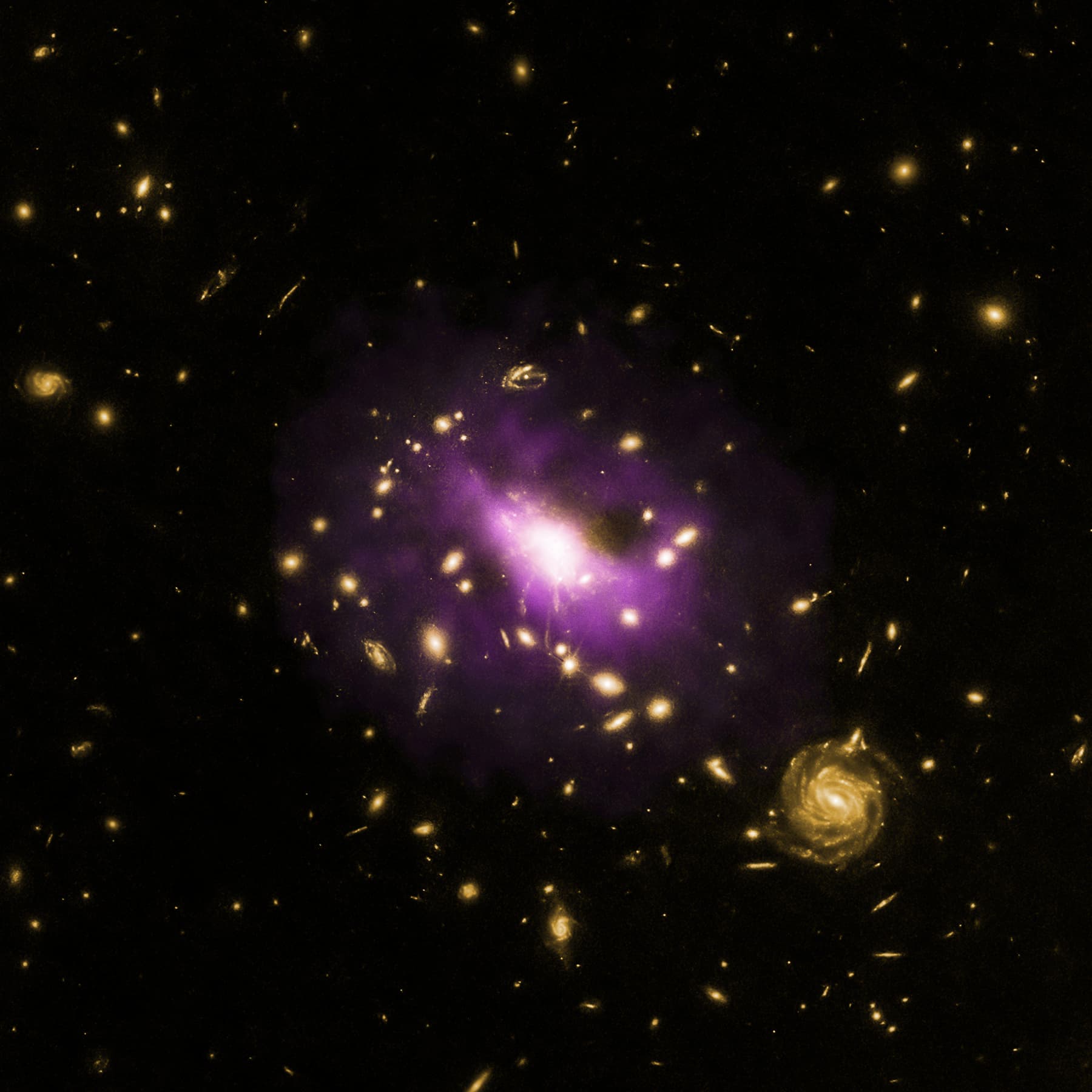 Supermassive Black Hole in RX J1532: the Destroyer of Worlds